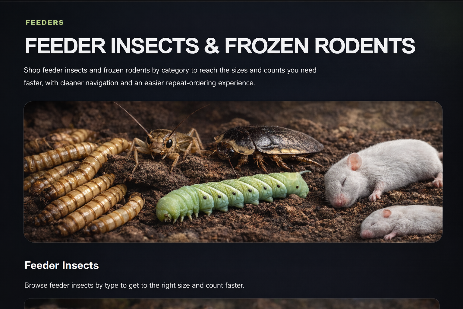 Feeder insects and frozen rodents at Wabash River Reptiles and Aquatics