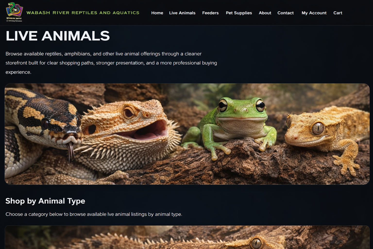 Live animals at Wabash River Reptiles and Aquatics