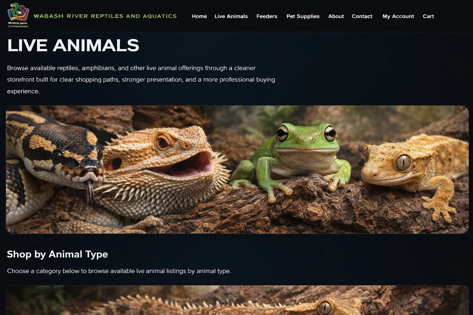 Live animals at Wabash River Reptiles and Aquatics